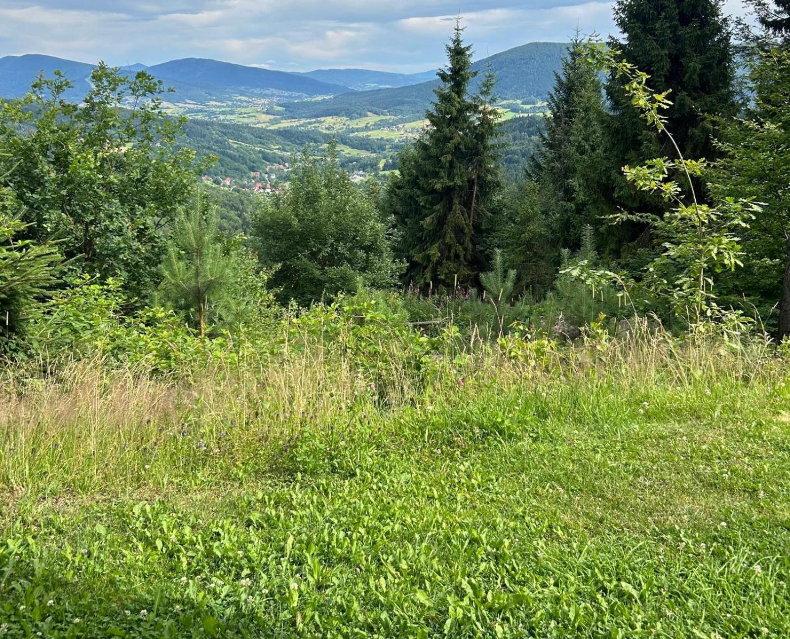 Gosciniec Pod Lubomirem Bed & Breakfast Weglowka  Exterior photo